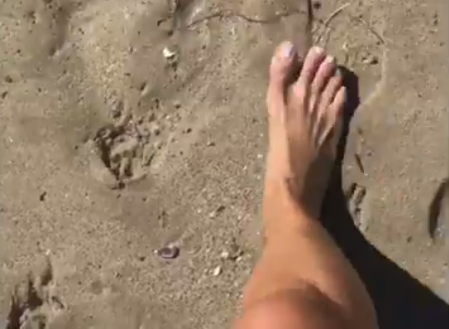 Sharon Case Feet